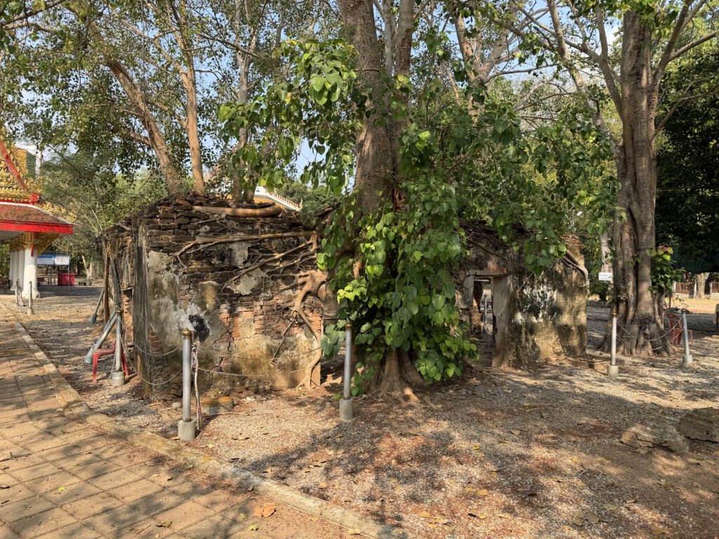 img 0336